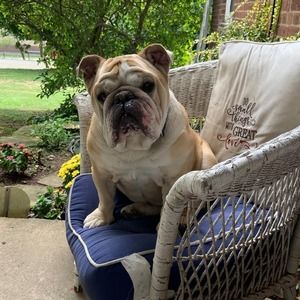 Meet your Posher, Joyce